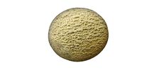 Produce - Cantaloupe