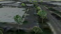 Reno Core Landscaping