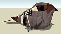 Common Pauraque
