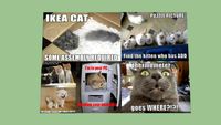 cat captions