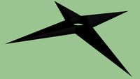 Ninja Star