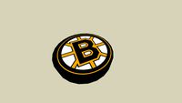 Boston Bruins Puck
