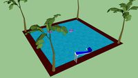 Piscine hawaienne.