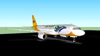 cebu pacific on take off in mnl