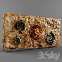 fossils / fossils