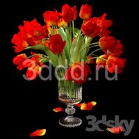 Tulips