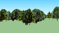 Vegetacion Rio Atoyac (1)