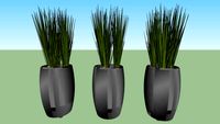 Vasos de planta