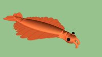 Anomalocaris canadensis
