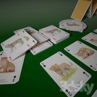 Playing cards
