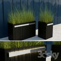 Modern Grasses II