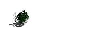 Planta 2D_anturio