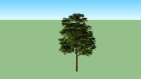 realistic tree low poli