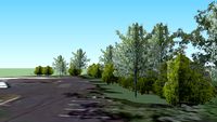 Trees in front of 9701 W Higgins Rd