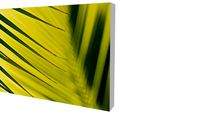 Quadro Bruno Alves - Coleção Coqueiro 03