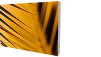 Quadro Bruno Alves - Coleção Coqueiro 01
