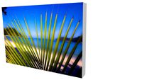 Quadro Bruno Alves - Coleção Tranquility 04