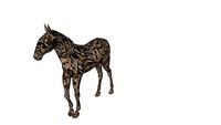 AED Driftwood Horse