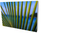 Quadro Bruno Alves - Coleção Tranquility 03