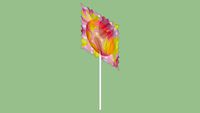 Lollipop with Wrapper
