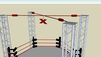 TNA - ULTIMATE X SIX SIDED RING