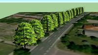 Trees Vestre Alle 2