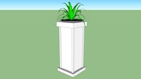 Pflanze