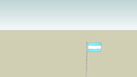 Argentine Flag