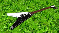 Dean V Michael Schenker Signature
