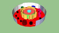 Lauren's Animal Cell