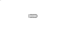 Whirling nozzle
