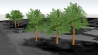 Trees #1, Dursley