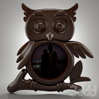 owl
