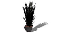 Plante stabilisée Palmier Phoenix buisson 200cm ref: PB24-200