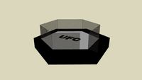 UFC octagon