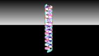 DNA Strand