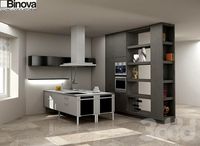 настроенная сцена кухни Binova
