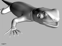 Agama Lizard3d model