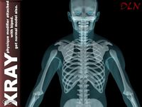 X-RAY Human Body.3d model