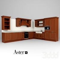 Aster / Opera
