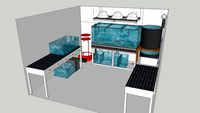 Majed's Fish Room