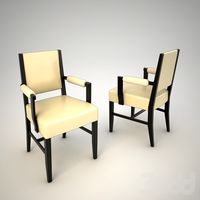 chair p9 lizard