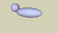 Ant