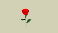 rose