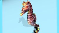 cavalo marinho - seahorse BTM
