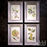 botanica pictures in vintage silver frames