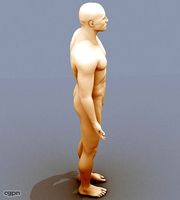 Male Body 023d model