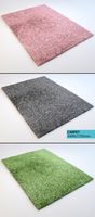 carpet with a short nap