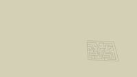 The maze