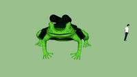 Bullfrog
